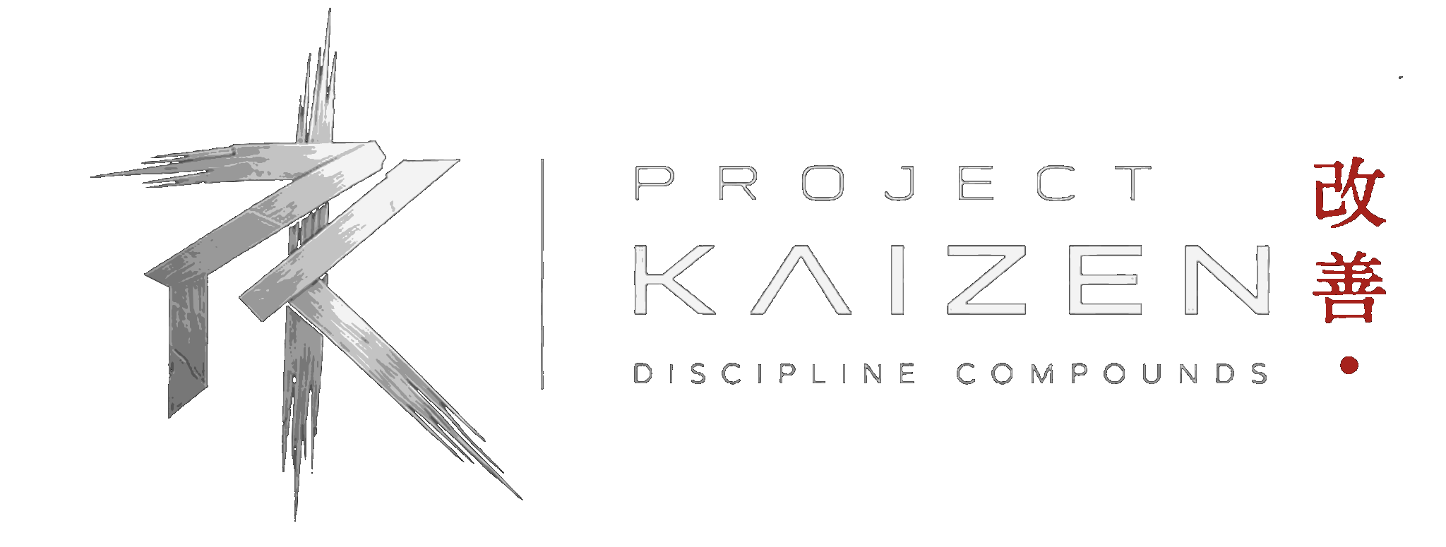 Project Kaizen